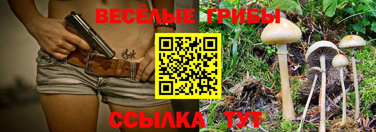 Галлюциногенные грибы MAGIC MUSHROOMS  Вход с VPN  Трёхгорный 